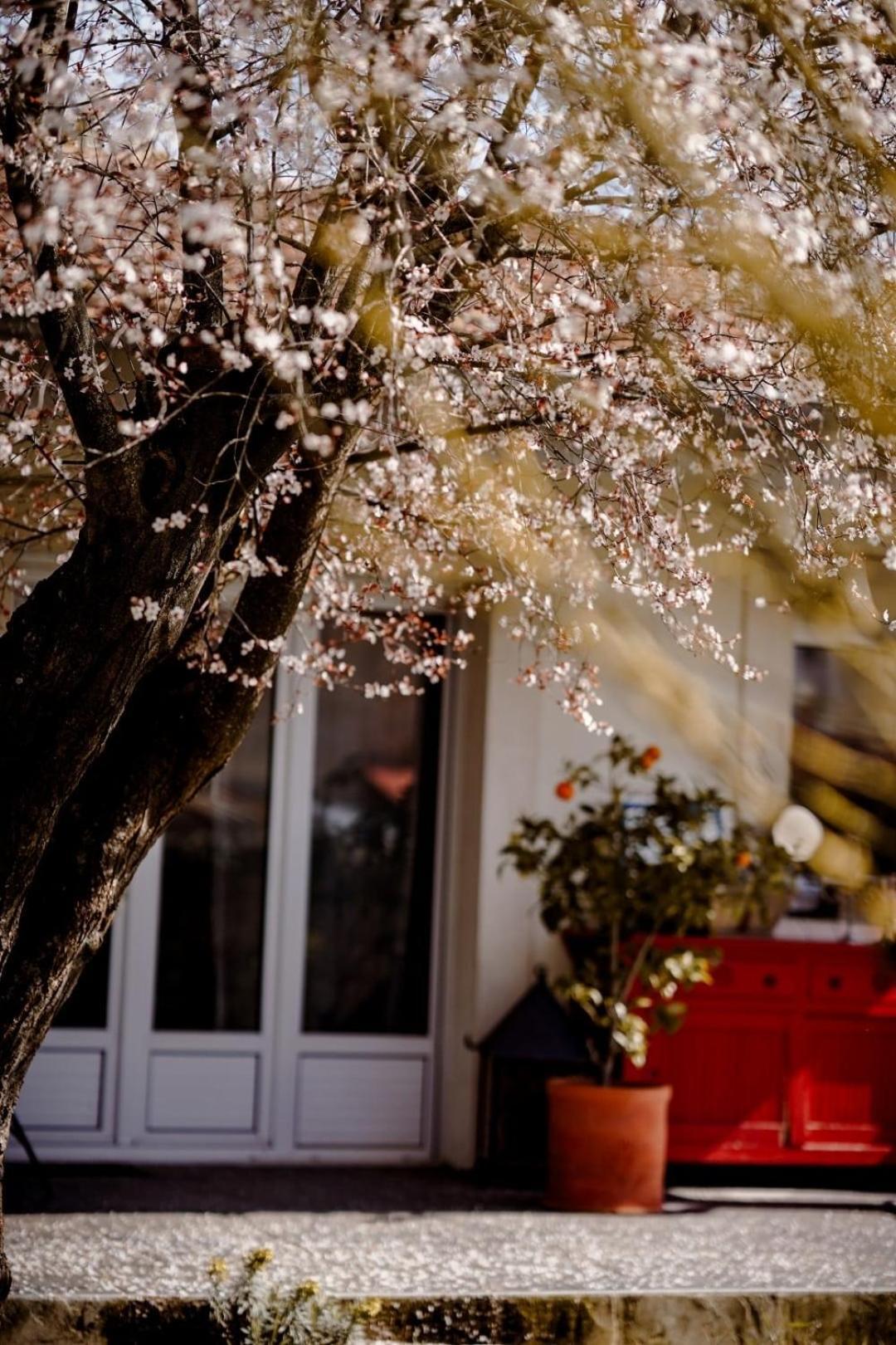 Chez Guilem Bed & Breakfast แซ็งต์-แม็กซ็องค์-เลกอล ภายนอก รูปภาพ