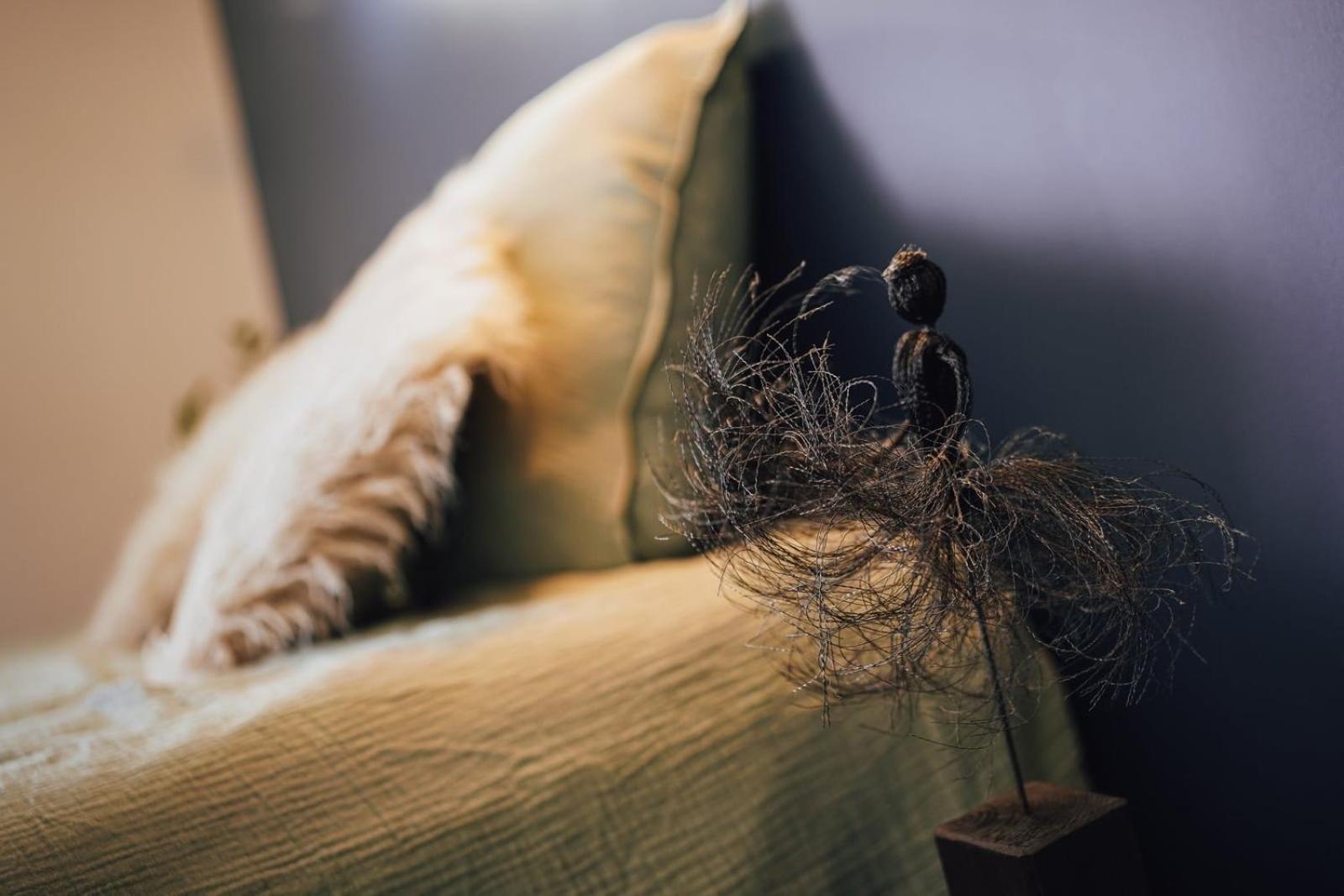 Chez Guilem Bed & Breakfast แซ็งต์-แม็กซ็องค์-เลกอล ภายนอก รูปภาพ